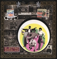 DJ Jazzy F Electric Boogieland артикул 7896b.